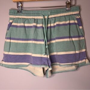 Wildfox Striped Athletic Shorts Small